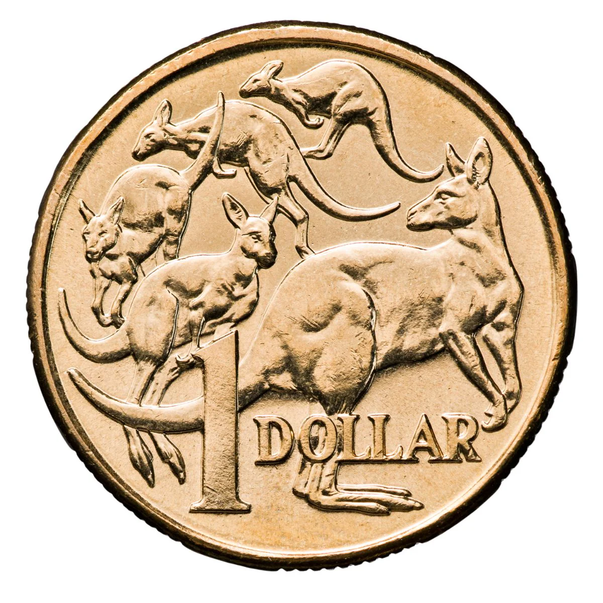Australia 2004 $1 Aluminium-Bronze Uncirculated 20-Coin Heads/Tails Mint Roll - Image 2