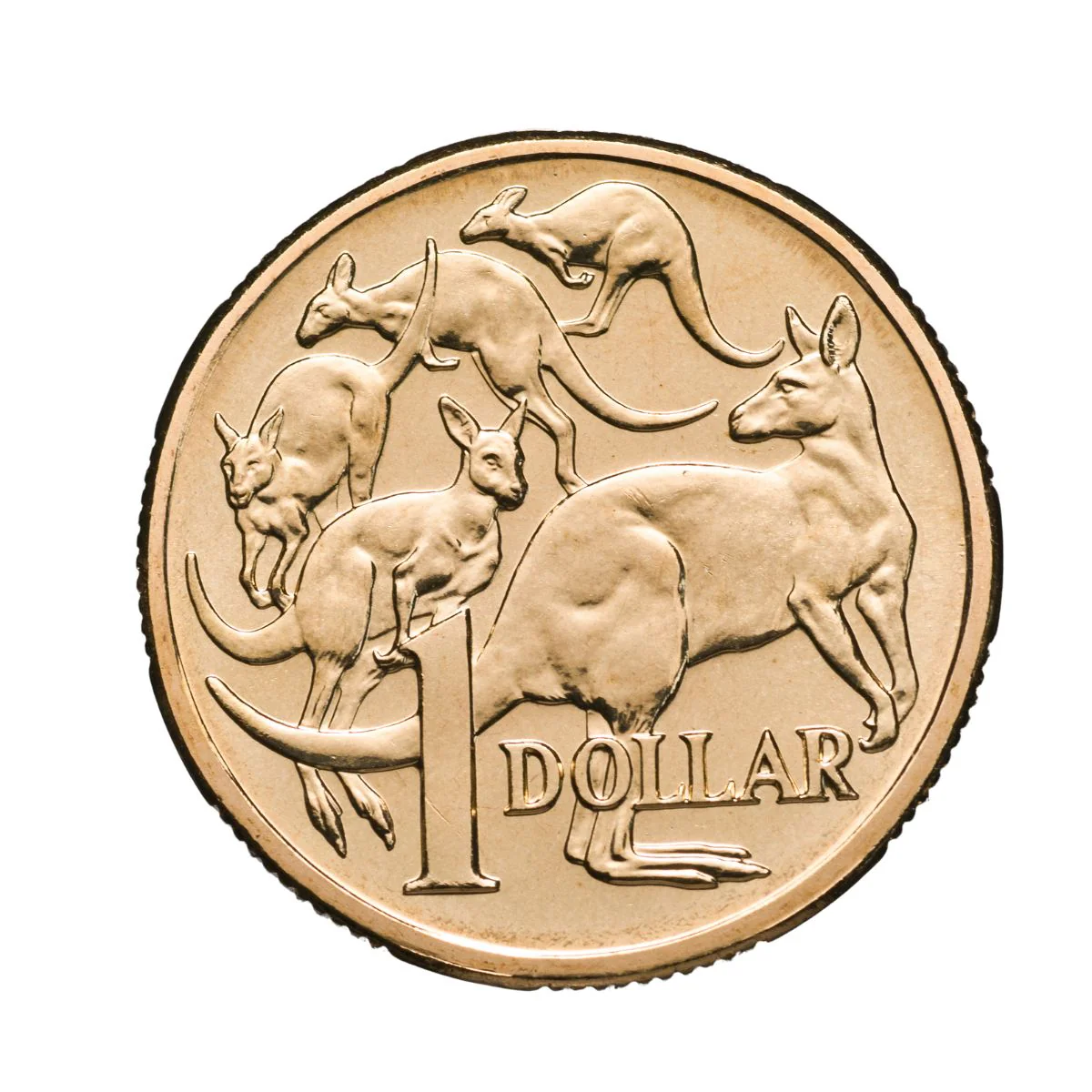 Australia 2004 & 2006 $1 Mob of Roos Specimen Coin Pair