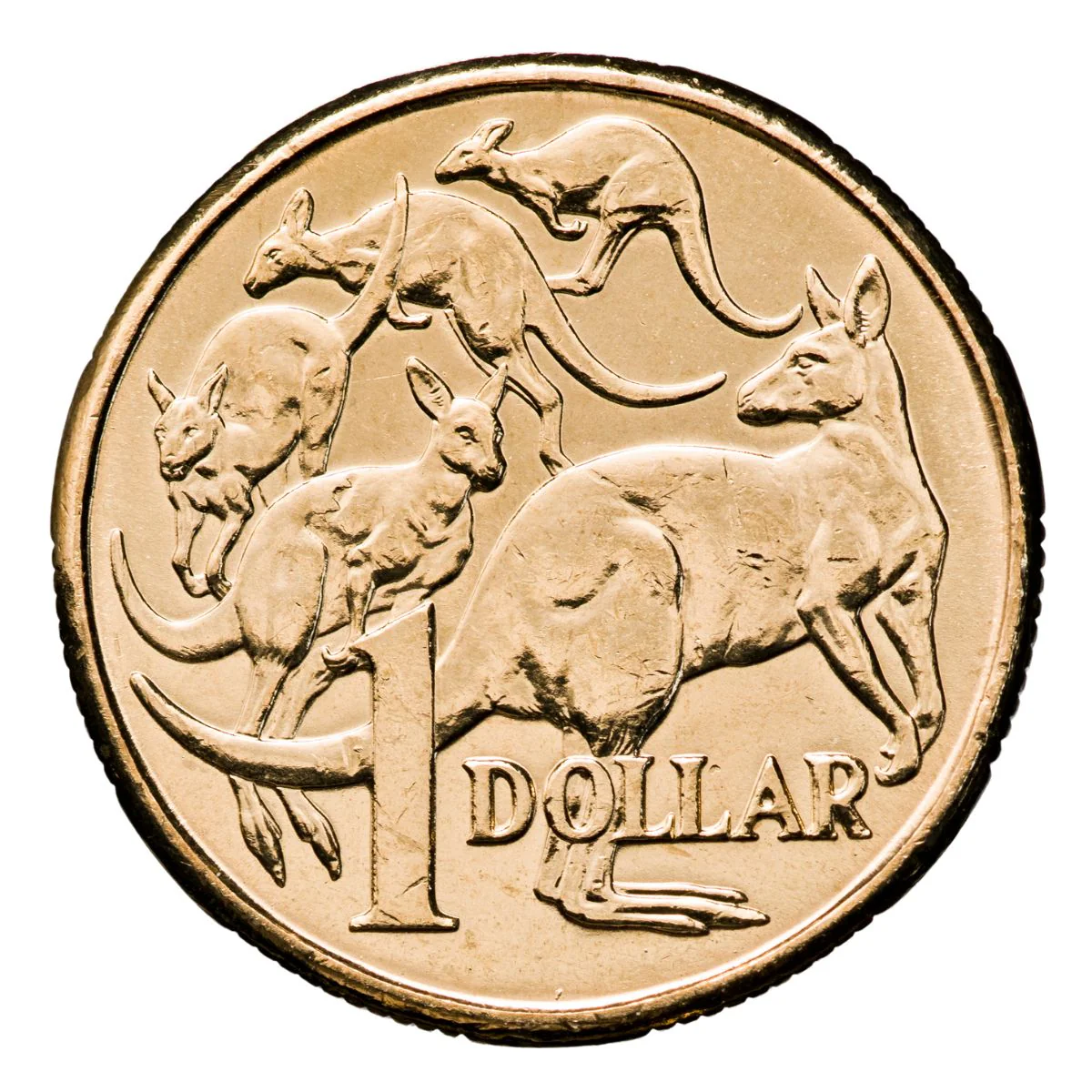 Australia 2013 $1 Aluminium-Bronze Uncirculated 20-Coin Security Bag - Image 2