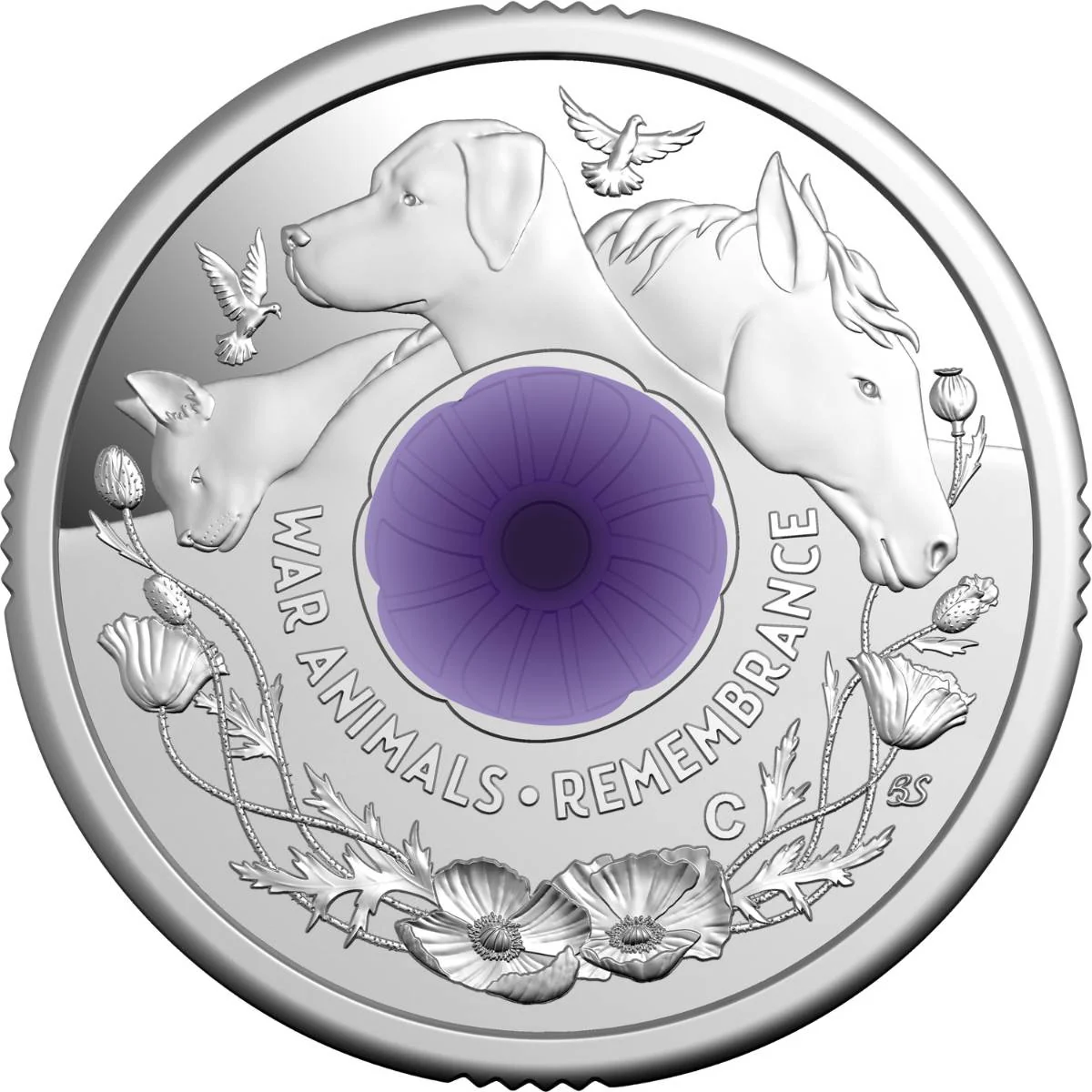 Australia War Animals Remembrance 2024 $2 C Mintmark Silver Proof Coin