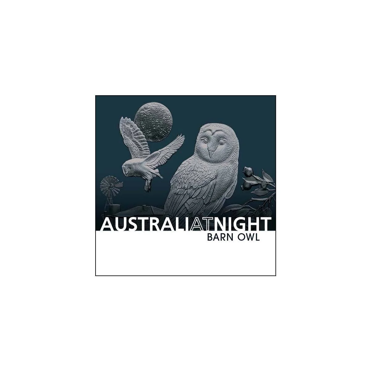 Australia at Night Barn Owl 2022 $1 1oz Silver Black Proof Coin - Image 5