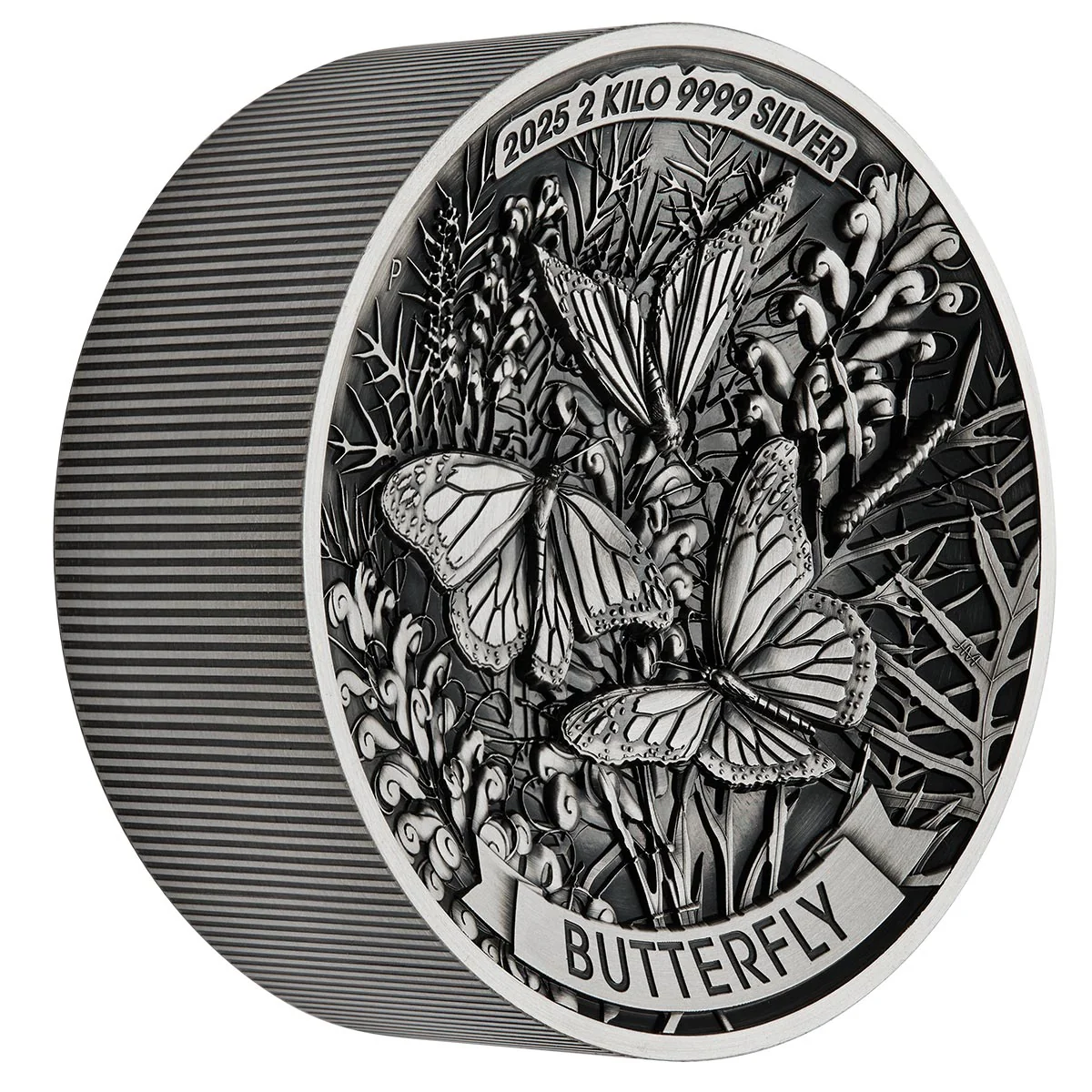 Australia Butterfly 2025 $60 2 Kilo Silver Antique Coin - Image 2