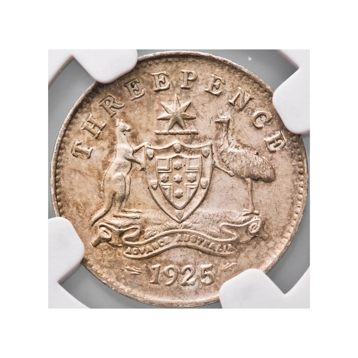 Australia George V 1925 Threepence NGC MS64 (Choice Uncirculated) - Image 2