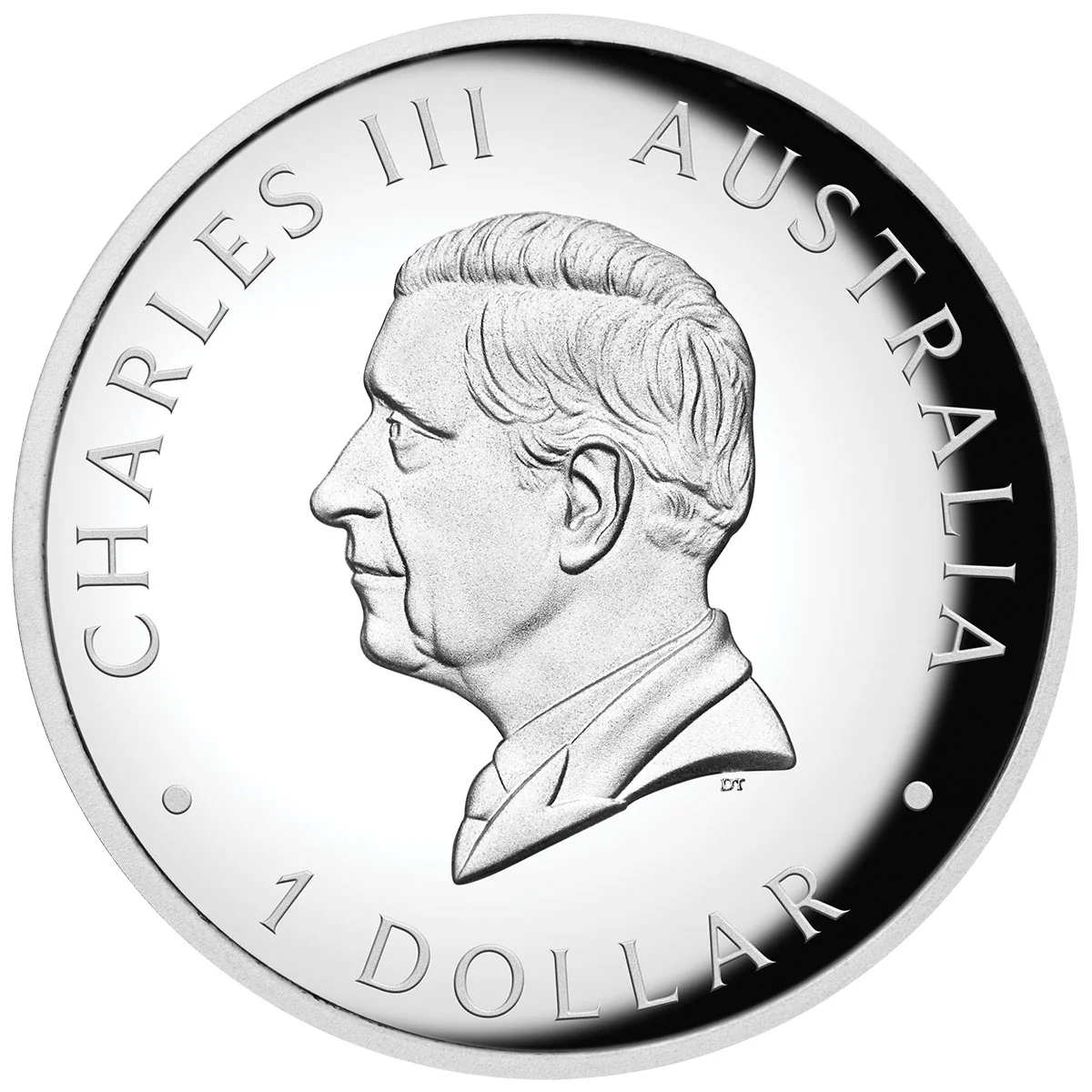 Australian Kangaroo 2024 $1 1oz Silver Proof High Relief Coloured Coin - Image 2