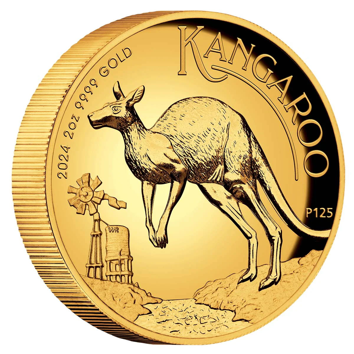 Australian Kangaroo 2024 $200 High Relief 2oz Gold Proof Coin