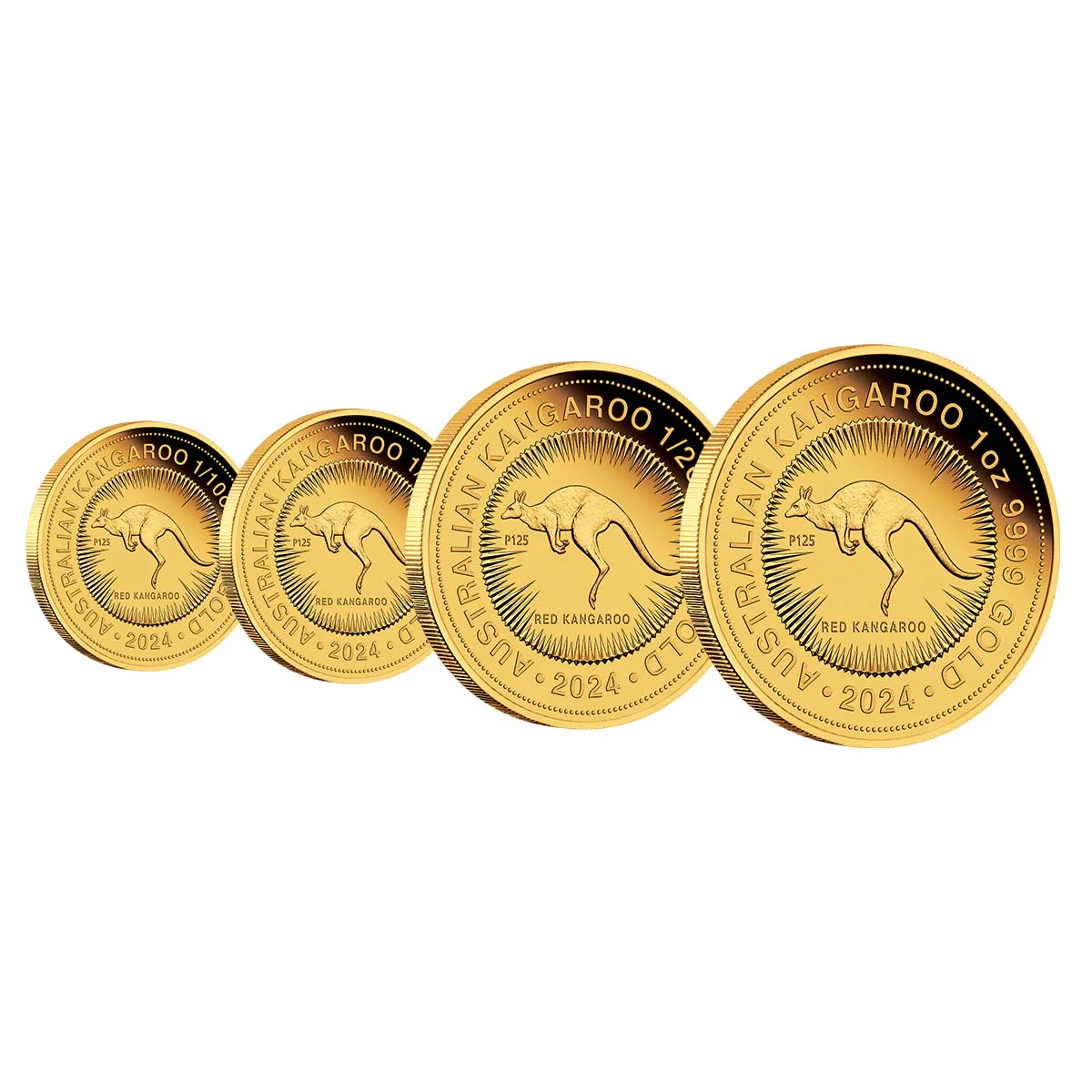 Australian Kangaroo 2024 Red Kangaroo Gold Proof Four-Coin Set - Image 3