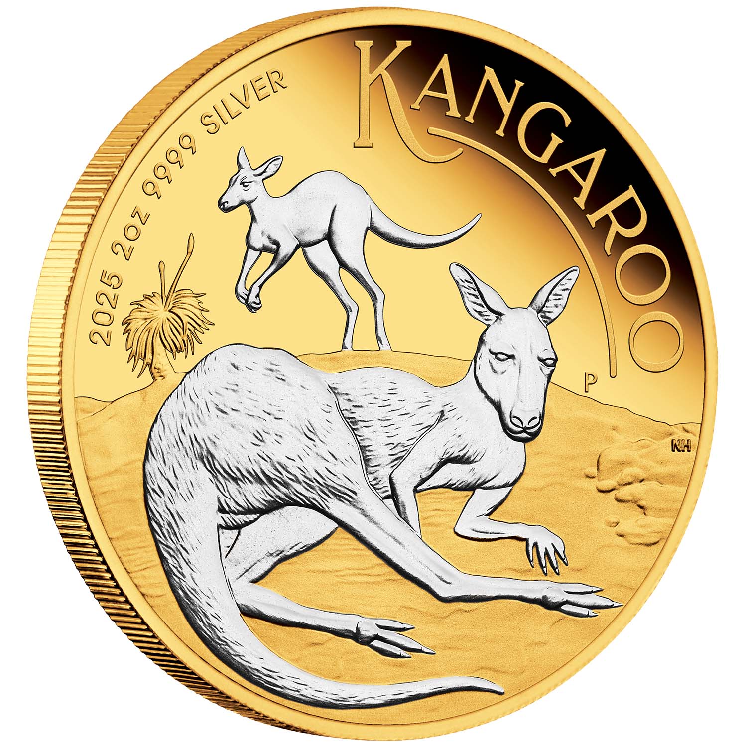 Australia Kangaroo 2025 $2 Gold-plated 2oz Silver Proof Coin
