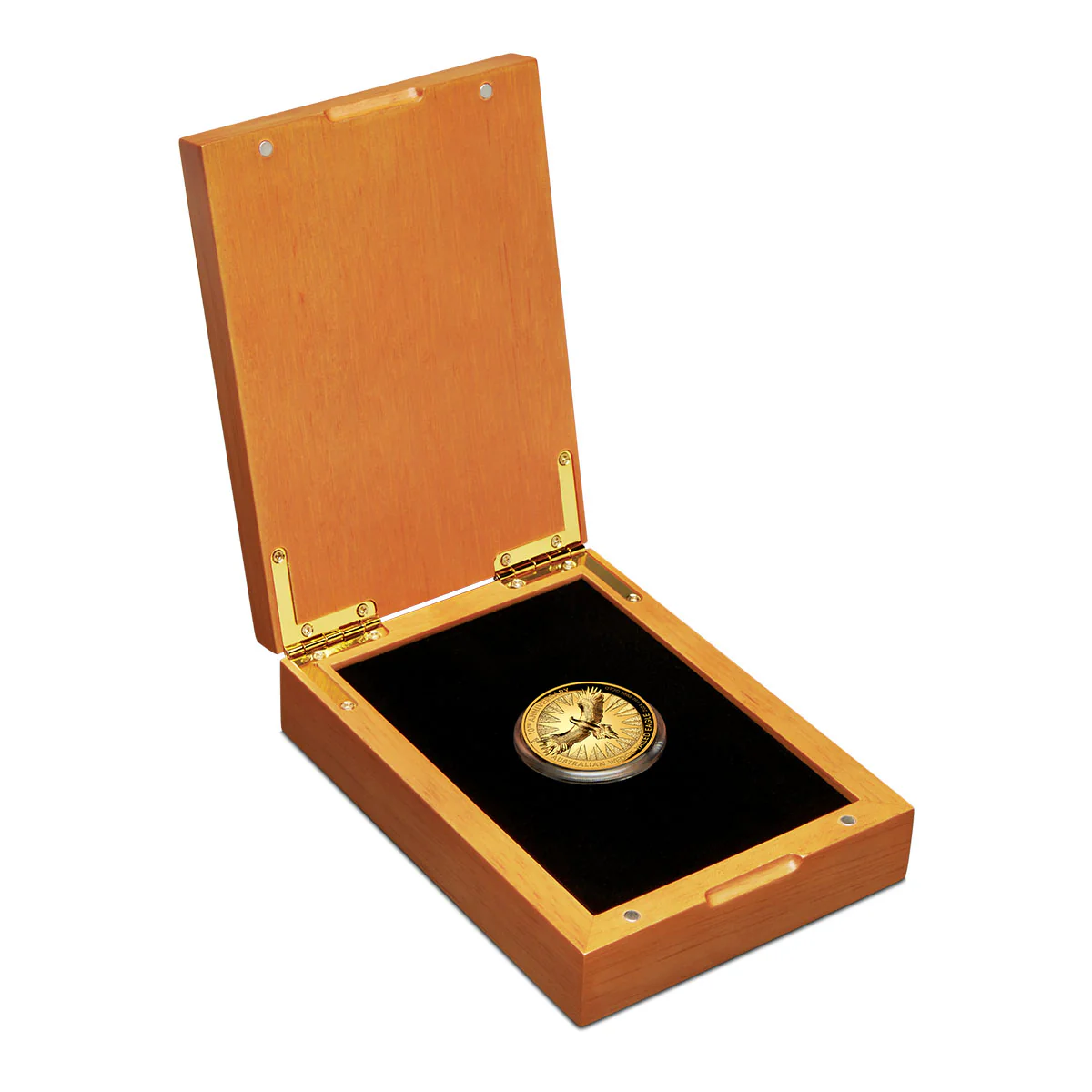 Australian Wedge-Tailed Eagle 10th Anniversary 2024 $100 1oz Gold Proof High Relief Coin - Image 3