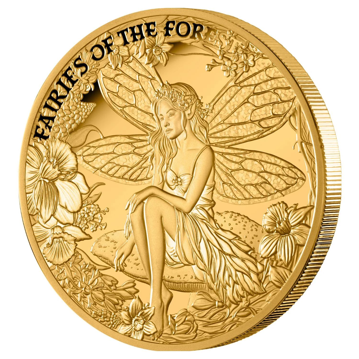 Fairies of the Forest 2026 $100 1oz Gold Proof Coin - Image 4
