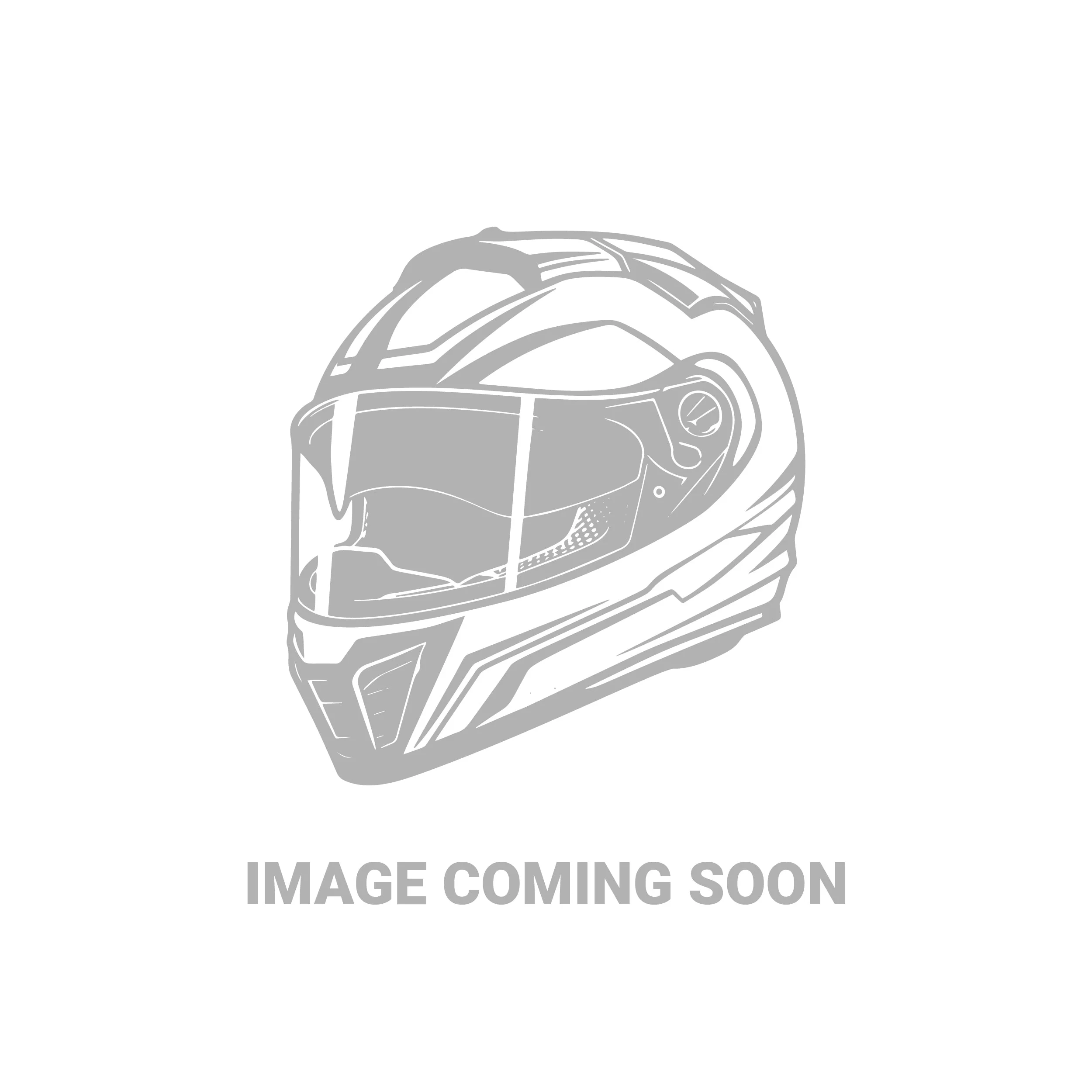 Gregoire Munster 2025 - 1:5 Scale Resin Model Helmet
