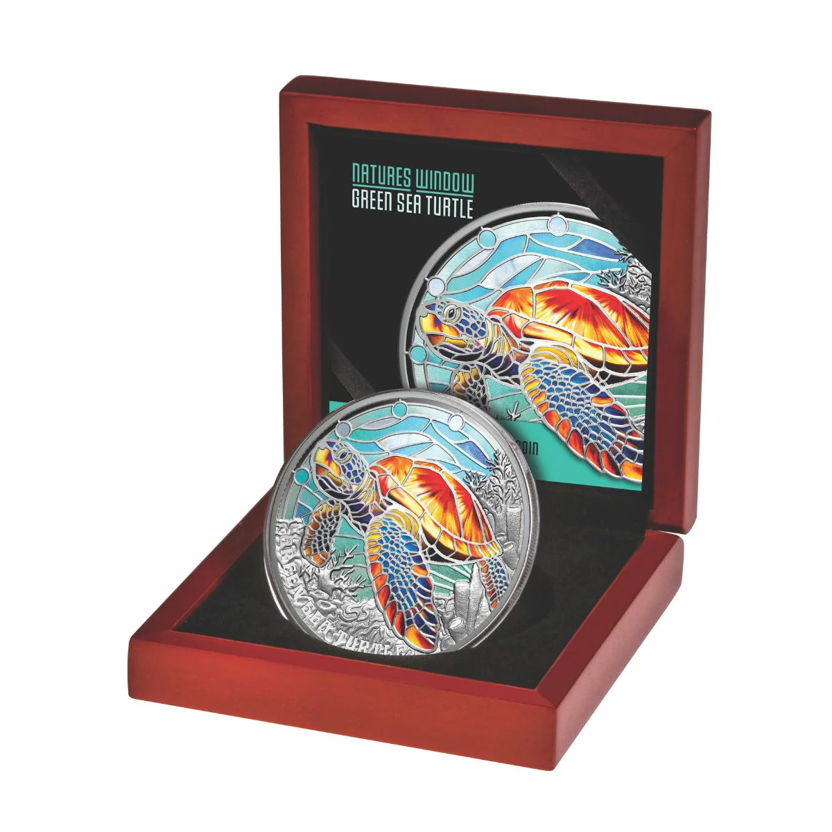 Nature’s Window Green Sea Turtle 2025 $5 Colour 2oz Silver Proof Coin - Image 3