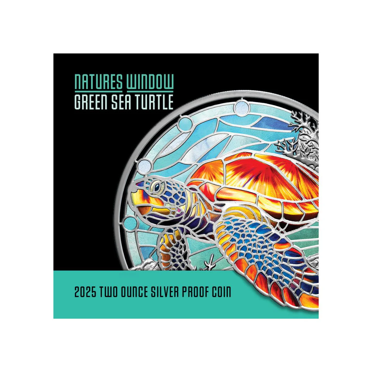 Nature’s Window Green Sea Turtle 2025 $5 Colour 2oz Silver Proof Coin - Image 5