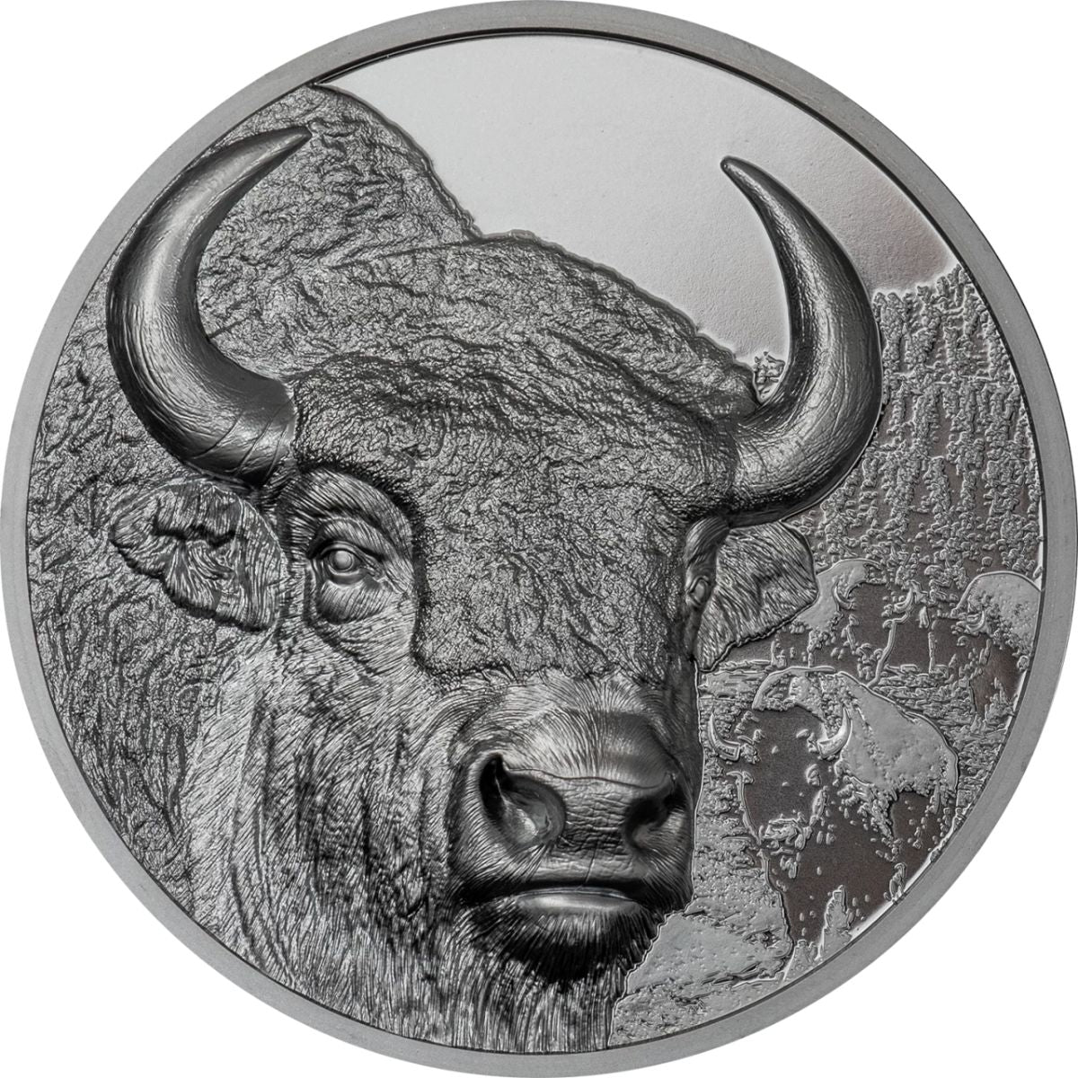 Wild Mongolia 2025 1000T Bison Ultra High Relief 2oz Silver Black Proof Coin