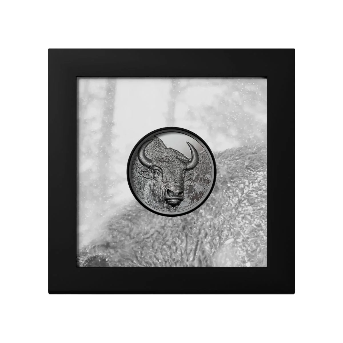 Wild Mongolia 2025 1000T Bison Ultra High Relief 2oz Silver Black Proof Coin - Image 3
