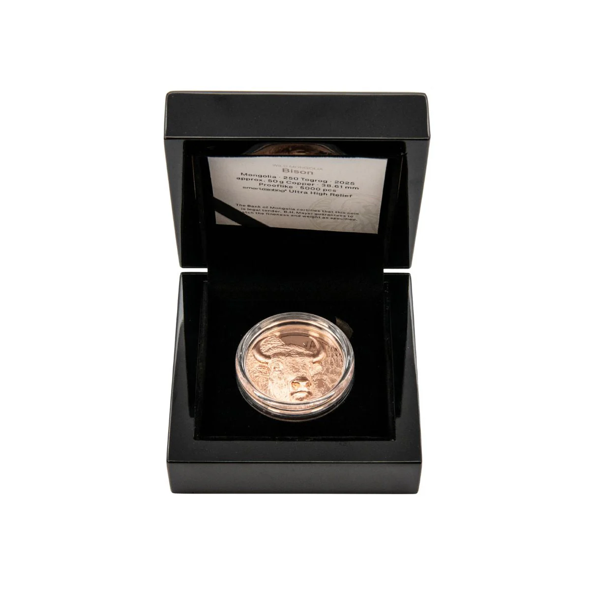 Wild Mongolia 2025 250T Bison Ultra High Relief Copper Proof Coin - Image 3