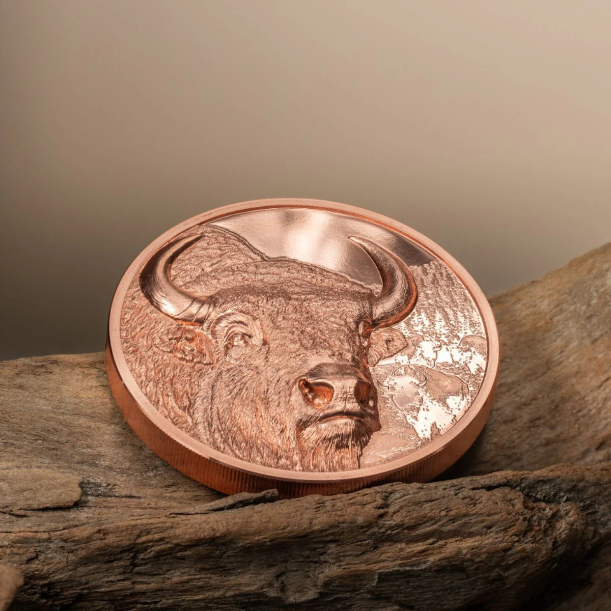 Wild Mongolia 2025 250T Bison Ultra High Relief Copper Proof Coin - Image 4